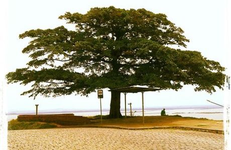 Morro de Santa Teresa