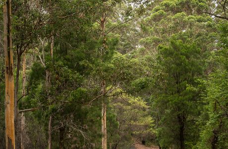 Gloucester National Park