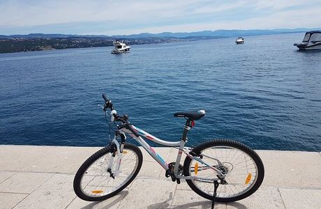 Rent a Bike Bri