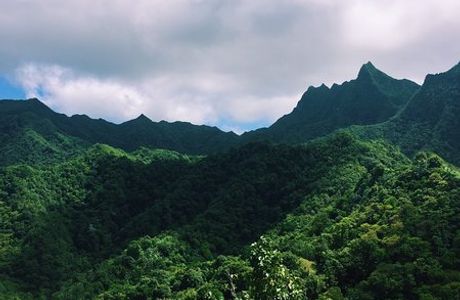 Takitumu Conservation Area