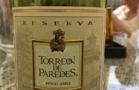 Vinedos Torreon de Paredes