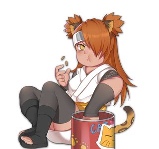 Mikaeridaienchi