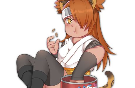 Mikaeridaienchi