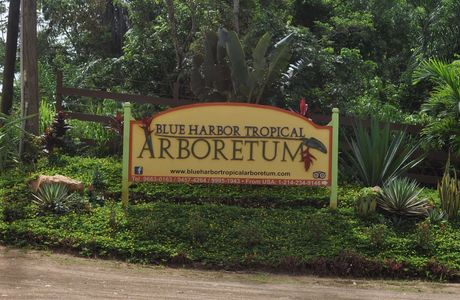 Blue Harbor Tropical Arboretum