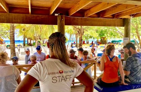 Caribbean Fish Therapy - Mahogany Beach