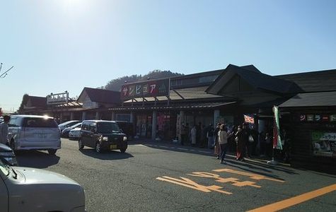 Michi-no-Eki Tendo Onsen 1
