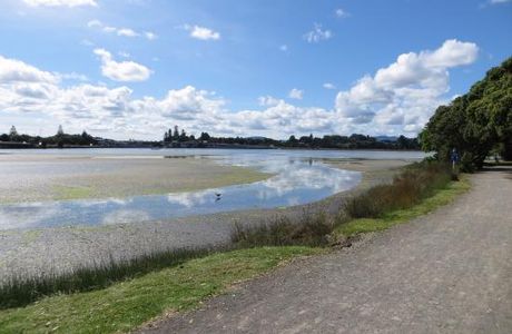Waikareao Estuary
