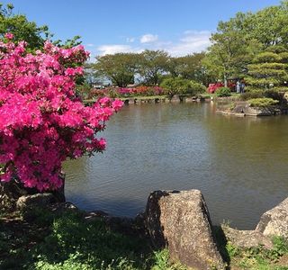 Tatebayashi Azalea Matsuri