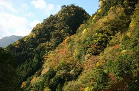 Mitarai Valley