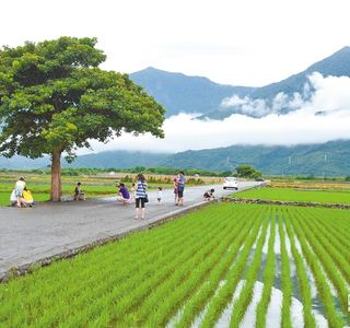 Chihshang Fuzunhuansian Bikeway