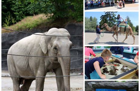 Point Defiance Zoo & Aquarium