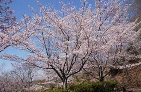 Jagatani Park