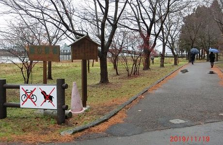Fujimi Lake Park