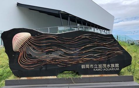 Tsuruoka City Kamo Aquarium 1