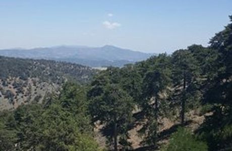 Visitors Center of the Troodos Geopark