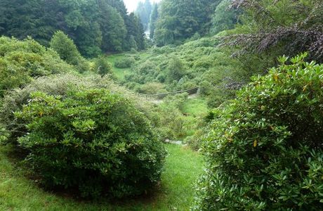 Conca dei Rododendri