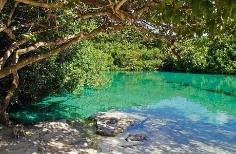 Casa Cenote