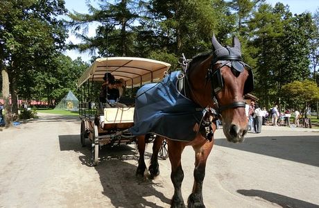 Northern Horse Park
