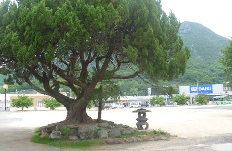 Wakashio Unit Monument