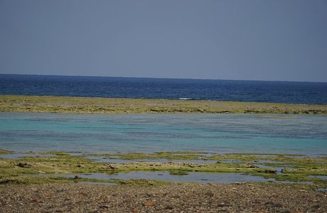 Shimokushi Kaihin Park