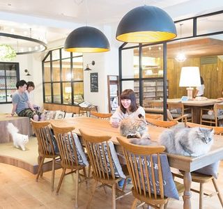Cat Cafe Mocha Lounge Ikebukuro East Entrance