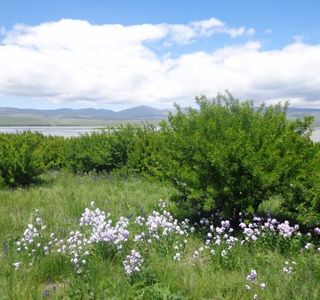 Lake Arpi National Park
