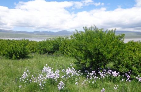 Lake Arpi National Park