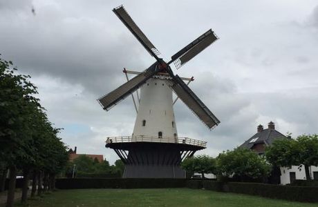 The White Mill (Witte Molen)