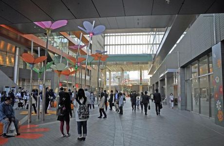 Futako Tamagawa Rise