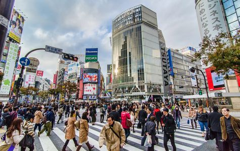 Shibuya Crossing 1