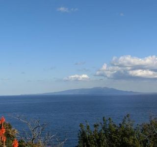 Ogasaki Wing Lookouts