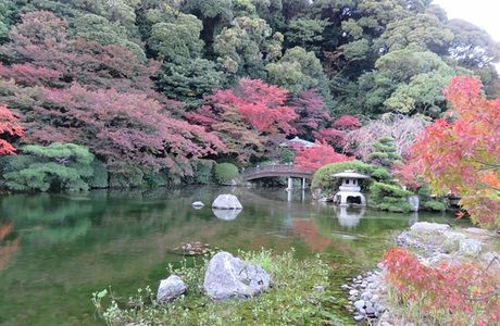 Chofu Garden