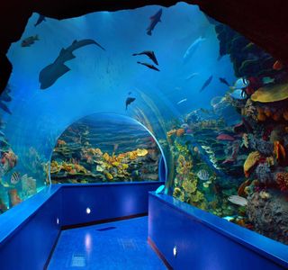 Sharjah Aquarium