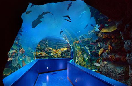 Sharjah Aquarium