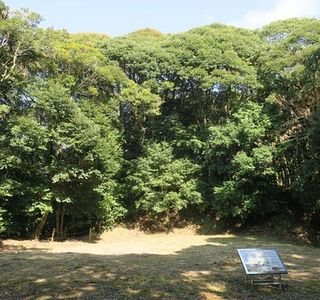 Shibushi Castle Site