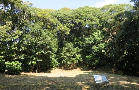 Shibushi Castle Site