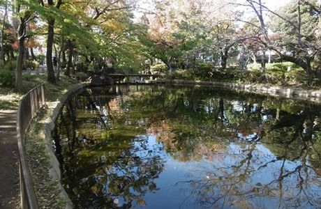Mabashi Park