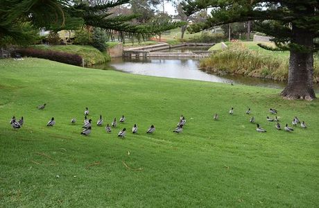 Soldiers Memorial Gardens