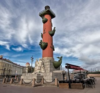 Rostral Columns