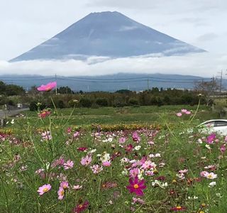 Panorama Yuka no Sato