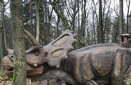 Park Yantarnogo Perioda