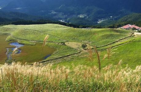 Soni Highland