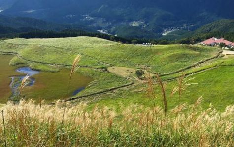 Soni Highland 1