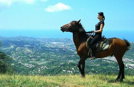 Horse Riding Club Favorit