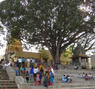 Nimishambha Temple