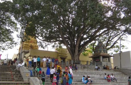 Nimishambha Temple