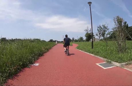 Yachiyo Sports Park Ballpark