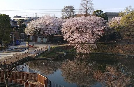 Bunsozaka Park