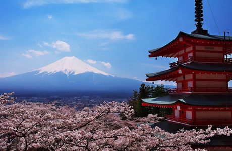 Fujisan Park