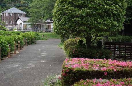 Serizawa Park